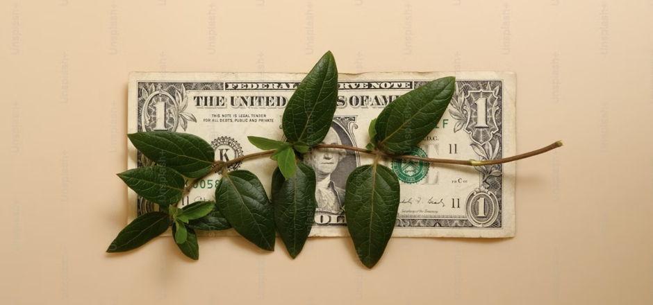 Regenerative Economics, Regenerative Futures